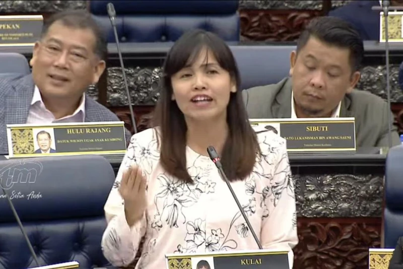 賽沙迪批政府操縱社媒箝制言論　張念群：TikTok不受政府指示行事