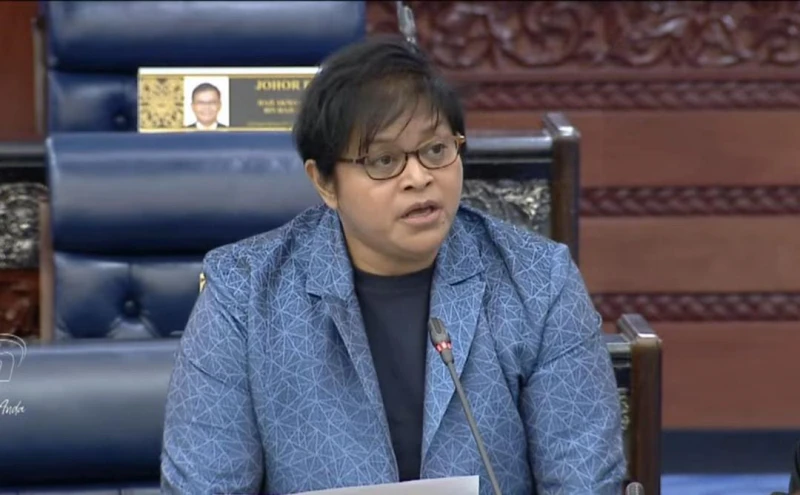 阿莎麗娜：政府正草擬數碼安全法案　遏制日益猖獗網絡詐騙活動