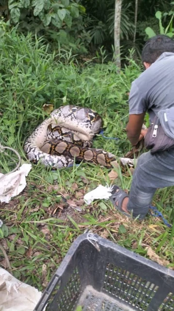 荒廢許久獲清理美化 林茂舊華人義山發現百年文物