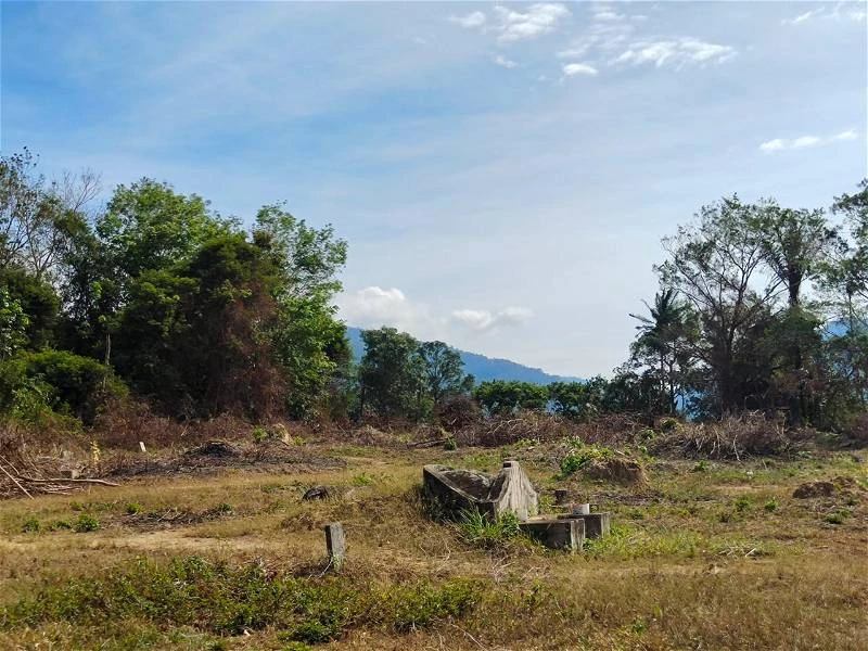 荒廢許久獲清理美化 林茂舊華人義山發現百年文物