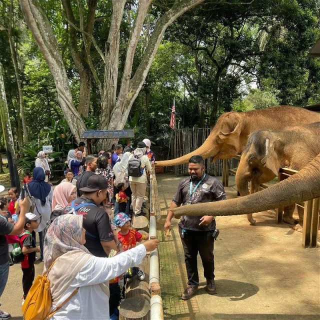 馬六甲動物園砸資近400萬　展開系列提升工作