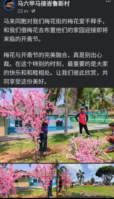 華巫文化融合之美　馬來同胞向新村借梅花迎開齋節