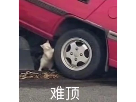 太魔幻辣！某魚主播停播4個月，短視頻帳號卻在猛猛發視頻