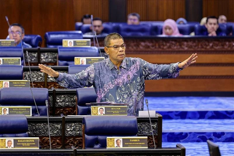 賽夫丁否認剝奪棄嬰公民身份權利　「政府仍在聽取各方意見」