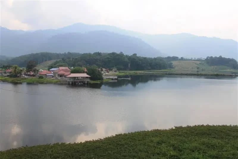 【入選全國十大幸福城市】享美食賞美景及考古　老饕最愛玲瓏西刀魚