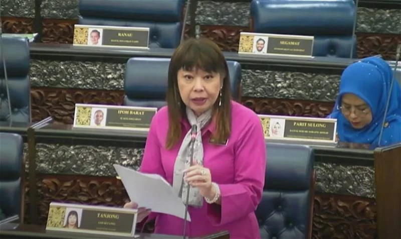 林慧英：現有法規足以應對逃稅問題