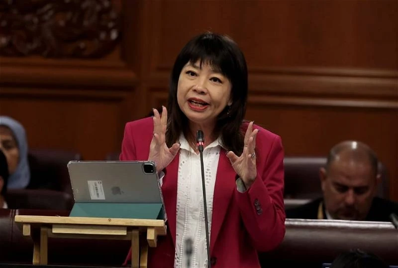 林慧英：5月1日不落實奢侈品稅