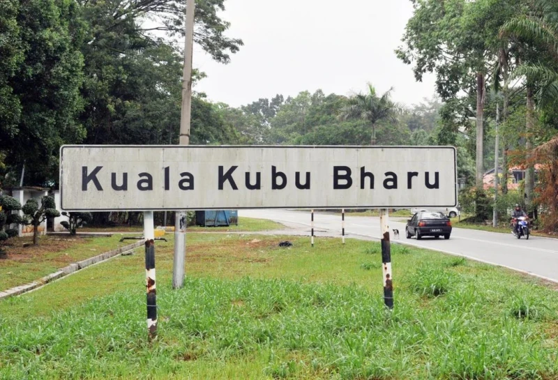 馬青雪州團長批國陣主席傲慢　「馬華應披旗幟出征新古毛補選」