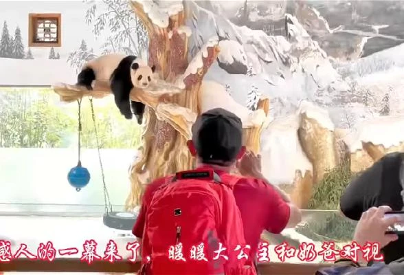 「我們來看你了!」 大馬奶爸相隔7年赴華探望暖暖