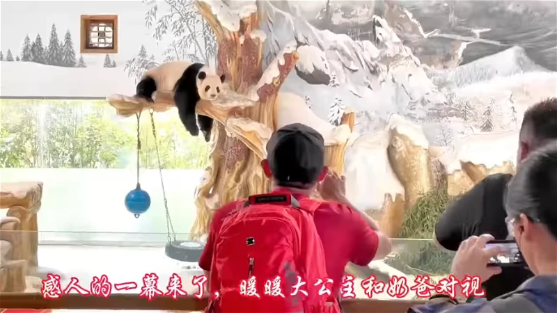 「我們來看你了!」 大馬奶爸相隔7年赴華探望暖暖