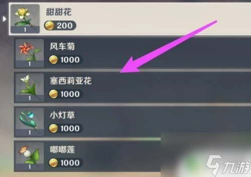 原神賣花的地方 原神賣花的npc在哪裡