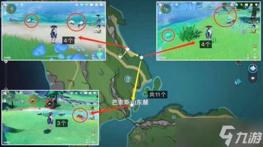 原神 楓丹-原海異種 異海凝珠 地面7條採集路線