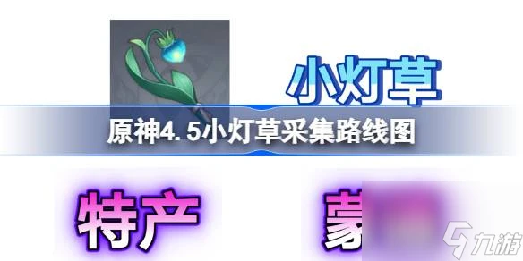 原神4.5小燈草採集路線圖介紹 原神4.5小燈草怎麼快速獲取