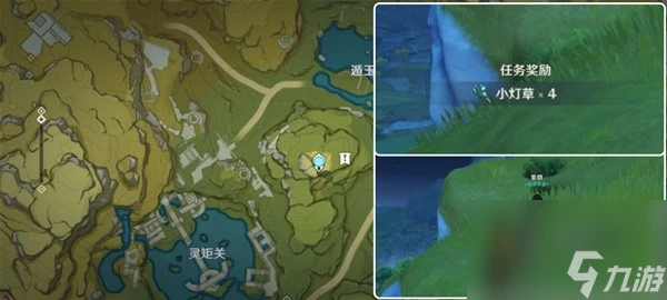 原神4.5小燈草採集路線圖介紹 原神4.5小燈草怎麼快速獲取