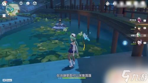 原神蓮蓬怎麼挖 原神蓮蓬在哪個城市