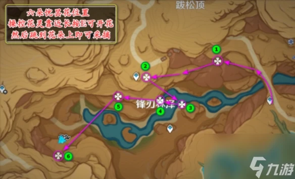 原神憂曇花的花蕊在哪裡