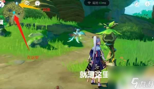 原神信封 恆那蘭那郵箱在哪裡找