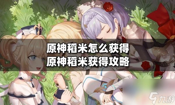原神艾米怎麼獲取 原神怎麼獲取稻米
