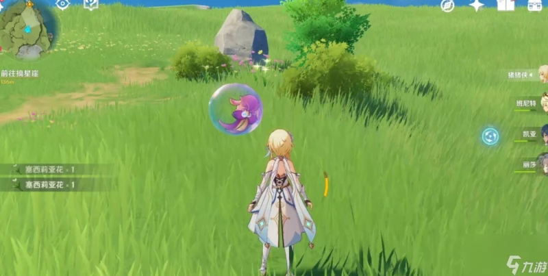 原神找風車菊怎麼找