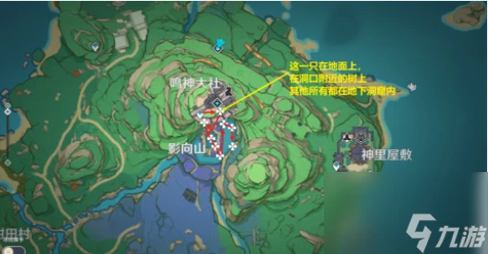 原神鬼兜蟲採集路線