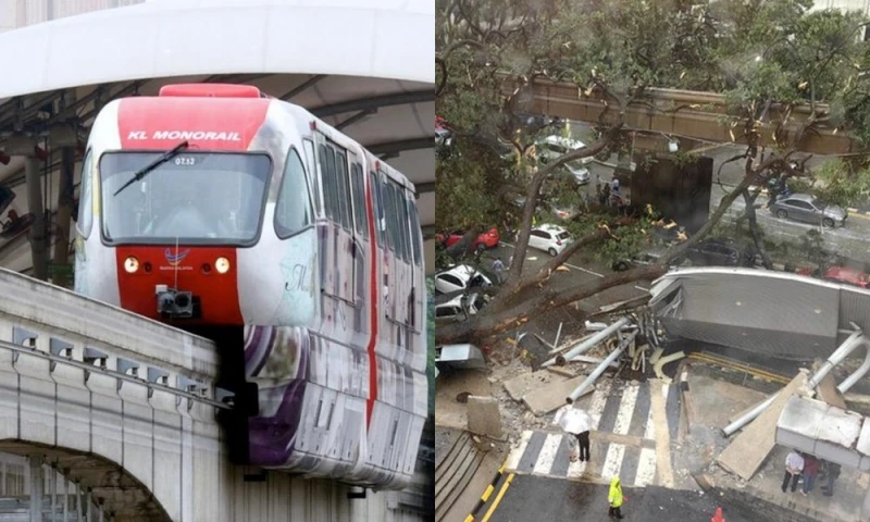 大樹轟然倒下壓中軌道　單軌火車大部分車站服務暫停