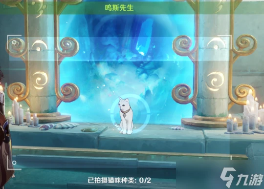 原神 虹色巡迴布景取材 拍攝2種犬類 禽鳥 貓咪 偏門逃課攻略向