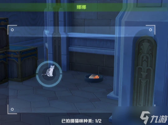 原神 虹色巡迴布景取材 拍攝2種犬類 禽鳥 貓咪 偏門逃課攻略向