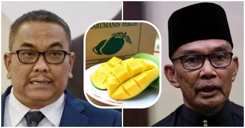 吉打「香甜芒」比玻璃市更紅?蘇克里:沙努西有幻覺!