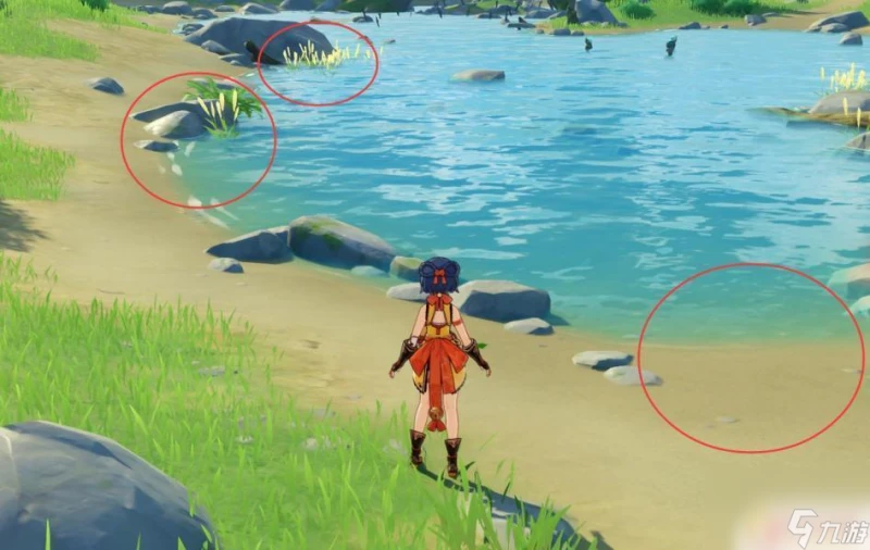 原神青蛙在哪裡有 原神青蛙抓取技巧