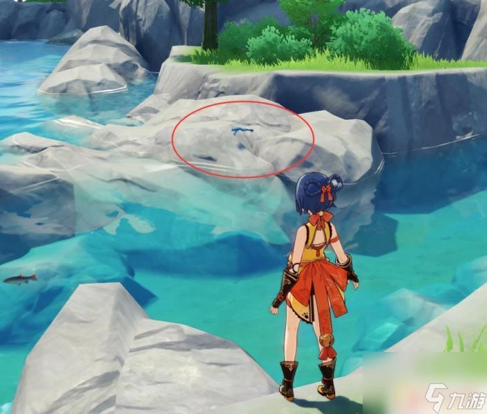 原神青蛙在哪裡有 原神青蛙抓取技巧