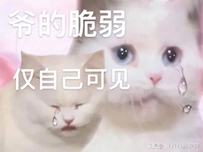 暗黑風新作好評如潮，在線玩家人數超15萬，卻不重視中國玩家？