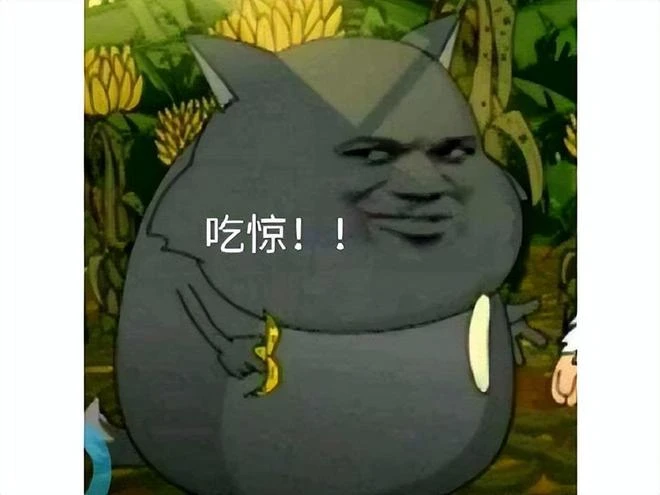 當年守望美女主播，人氣下滑選擇退隱，改行賣貓暴富一隻八千