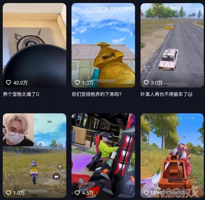 當年守望美女主播，人氣下滑選擇退隱，改行賣貓暴富一隻八千