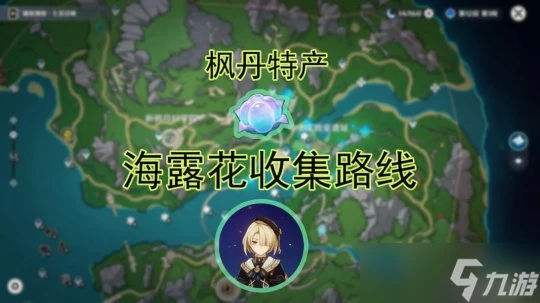 原神 楓丹—海露花收集路線 120個