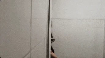 近期黑馬神作不斷，還有遊戲靠搞澀澀成功翻盤！