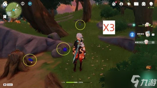 原神 V4.6攻略   蒙德特產鉤鉤果 40個 全圖高效採集路線