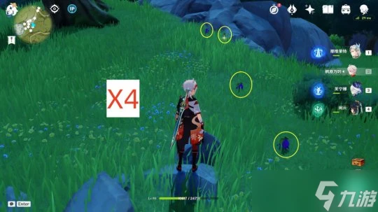 原神 V4.6攻略   蒙德特產鉤鉤果 40個 全圖高效採集路線