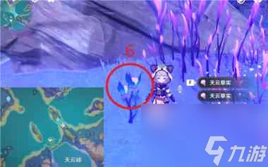 《原神》2.8破破島海螺在哪裡大全 原神攻略推薦