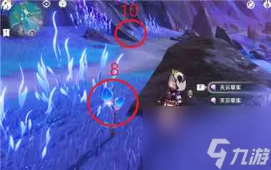 《原神》2.8破破島海螺在哪裡大全 原神攻略推薦