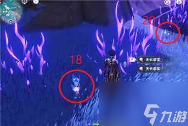 《原神》2.8破破島海螺在哪裡大全 原神攻略推薦