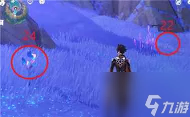 《原神》2.8破破島海螺在哪裡大全 原神攻略推薦