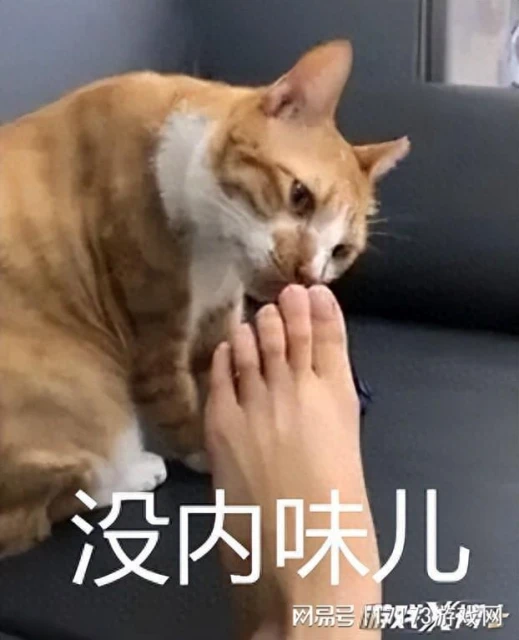 騰訊時隔八年又出手！挑戰最容易翻車的品類，能復刻火影神話嗎？