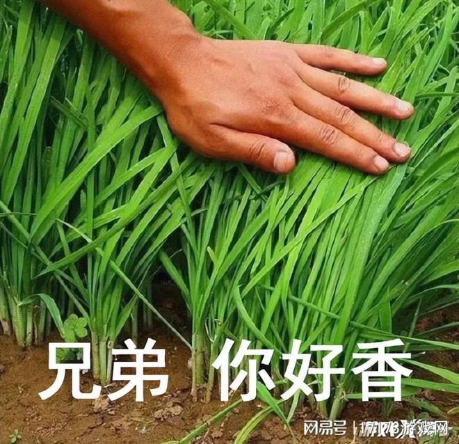 騰訊時隔八年又出手！挑戰最容易翻車的品類，能復刻火影神話嗎？