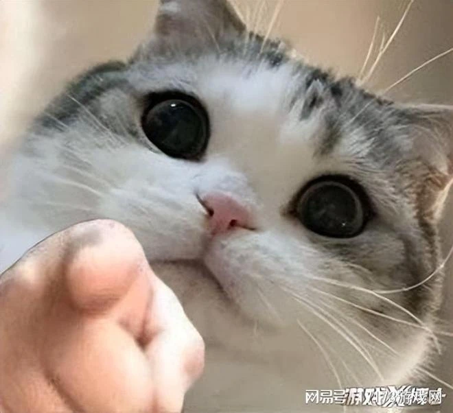 騰訊時隔八年又出手！挑戰最容易翻車的品類，能復刻火影神話嗎？