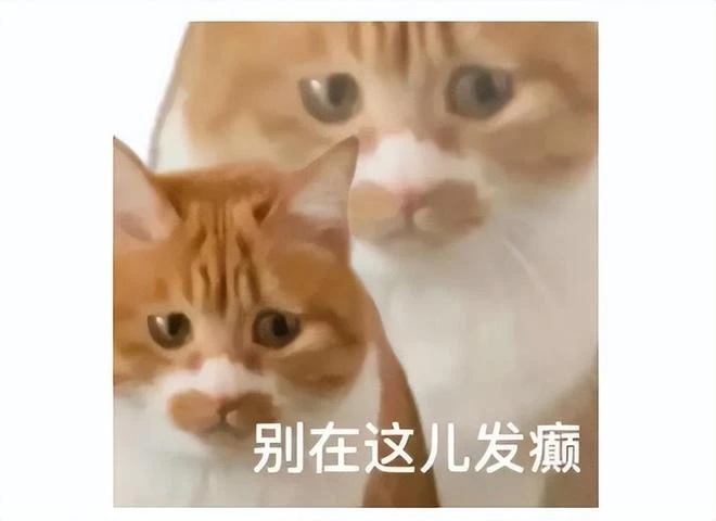 黑神話悟空售價公布 比常規大作還便宜 網友：為啥不買老頭環？