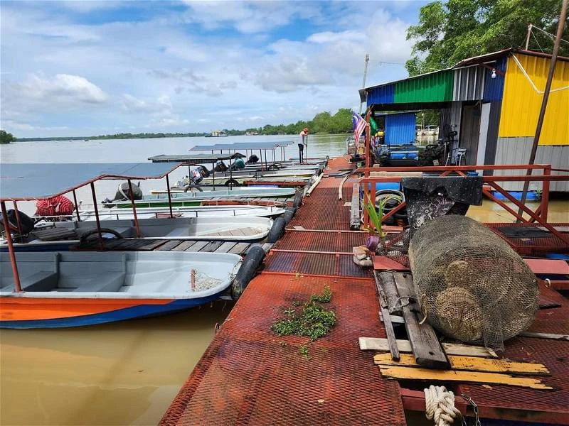 發燒友重返垂釣 霹靂河再現釣魚熱潮
