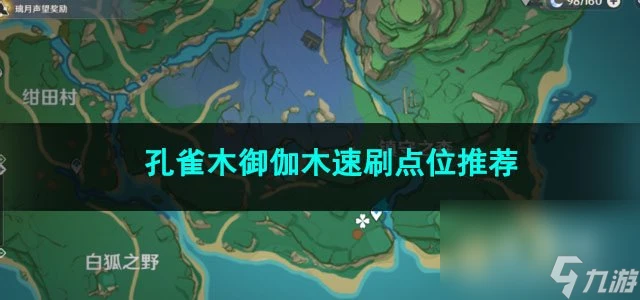 原神孔雀木御伽木速刷點位推薦