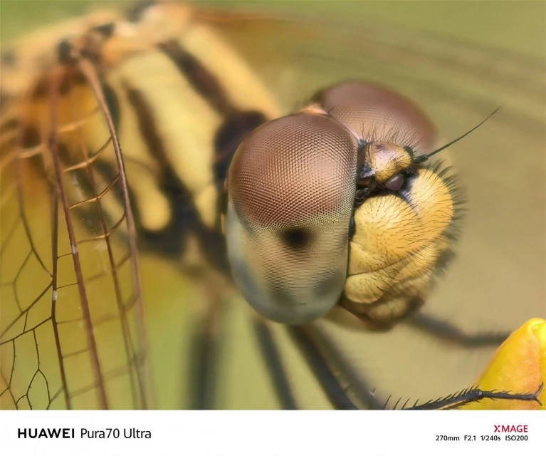 以「溫暖的世界」為主題　華為XMAGE十二年展溫馨上映！