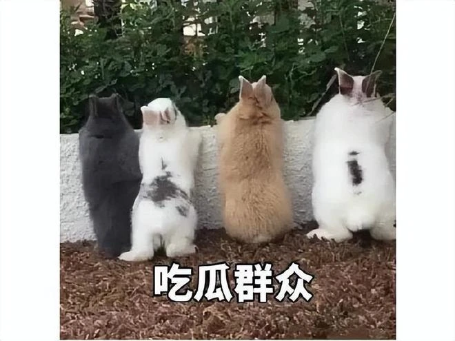 限制級新作《Raven2》，初代曾百天賺5億，網友：套用老滾5？