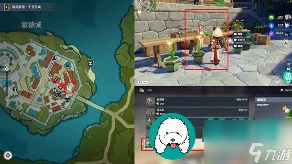 原神嘟嘟蓮在哪獲取-原神嘟嘟蓮採集路線推薦